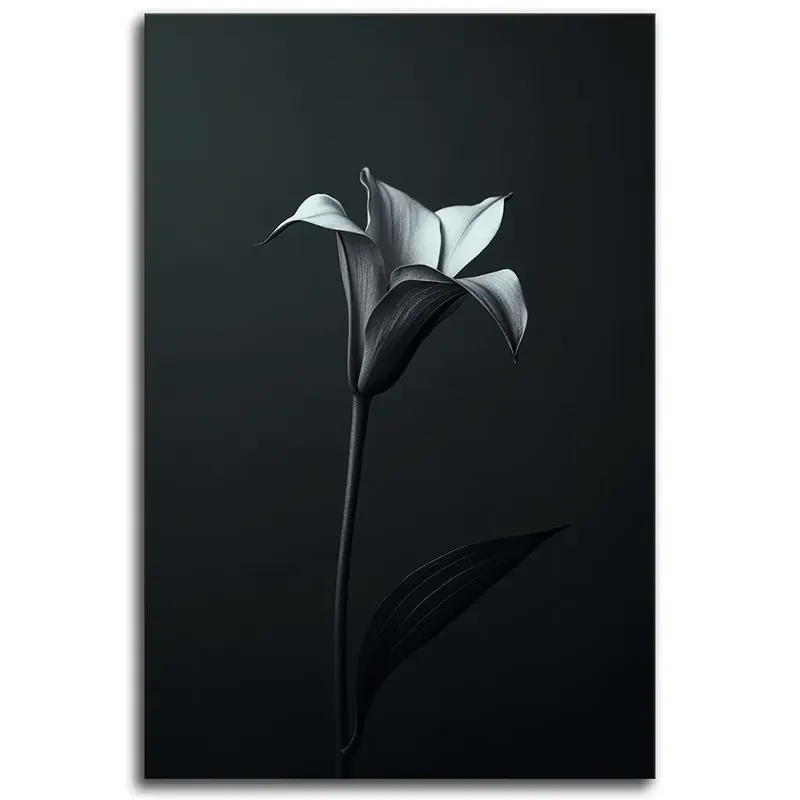 Whispers of a Black Lily Wall Art - Abstract Minimalist Wall Art